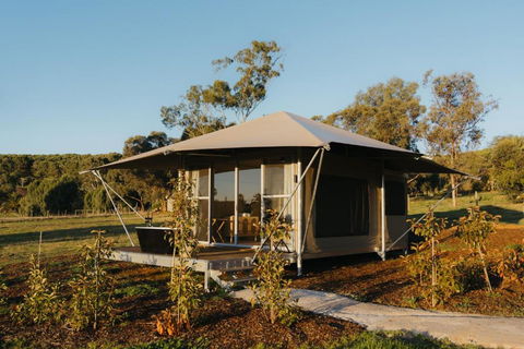 CANVS By CABN Seppeltsfield Barossa - Sunshine Coast Tourism 3