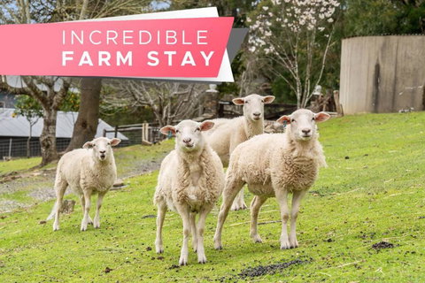 Carawatha On The Range - Unique Farm Stay - Sunshine Coast Tourism 0