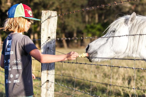 Casa Del Mare - Farm Stay By The Ocean - Sunshine Coast Tourism 2