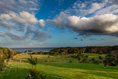 Casa Del Mare - Farm Stay By The Ocean - Sunshine Coast Tourism 3