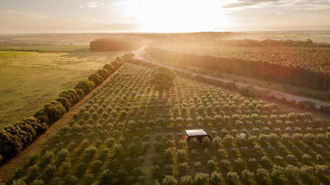Cate The Tiny Cabin In Esperance - Sunshine Coast Tourism 2