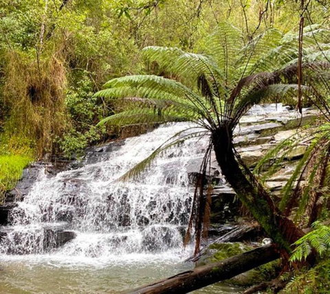 Central Lorne Retreat - Sunshine Coast Tourism 2