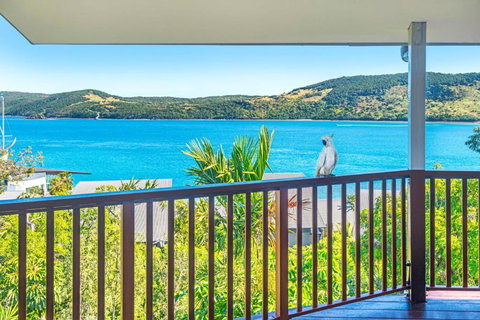 Casuarina 16 - 3 Bedroom House With 180 Degree Ocean Views, Buggy & Valet Service - Sunshine Coast Tourism 1