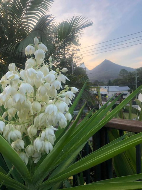 Chesson Lodge - Sunshine Coast Tourism 4