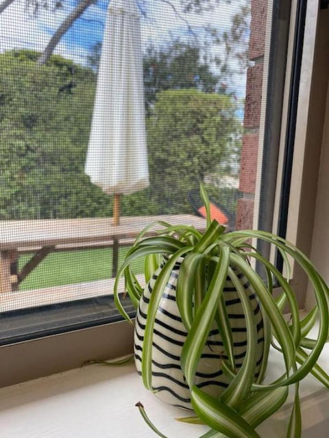 Coastal Nest -walk To The Beach - Sunshine Coast Tourism 1