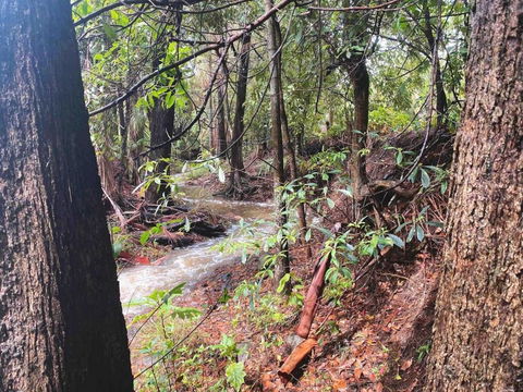 Crystal Cottage Retreat- Escape To The Hinterland! - Sunshine Coast Tourism 3