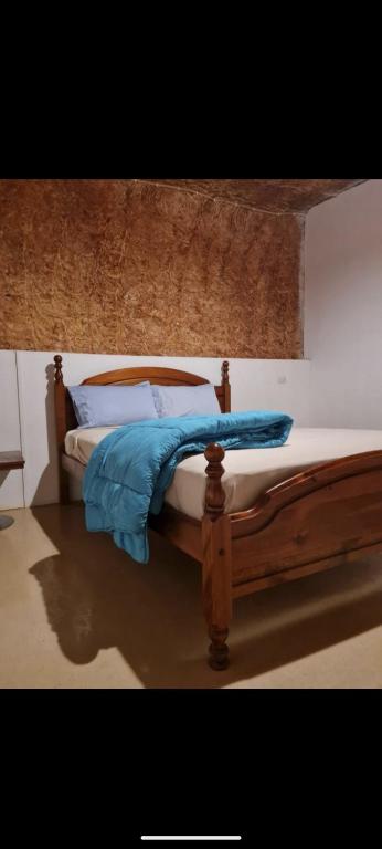 Desert Gum Grund St - Sunshine Coast Tourism 3