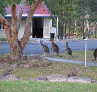 31 The Rocks - Holiday Sunshine Coast