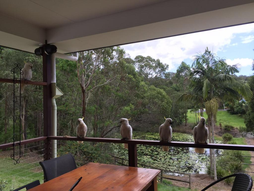 Upper Coomera QLD Sunshine Coast Tourism