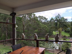 Book Gold Coast Accommodation Sunshine Coast Tourism Sunshine Coast Tourism