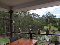 Book Gold Coast Accommodation Vacations Sunshine Coast Tourism Sunshine Coast Tourism