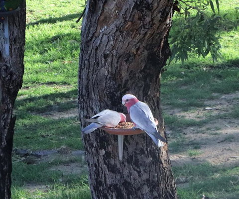 A Stanthorpe Getaway - Sunshine Coast Tourism 2