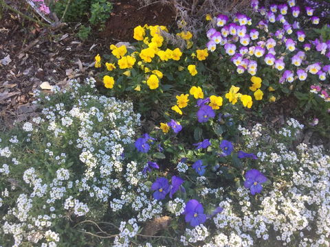 A Very French House - Sunshine Coast Tourism 2