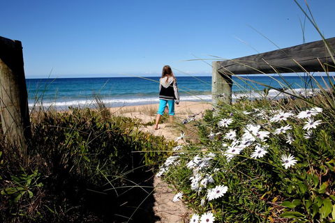 Absolute Beachfront Mollymook - Holiday Sunshine Coast 3
