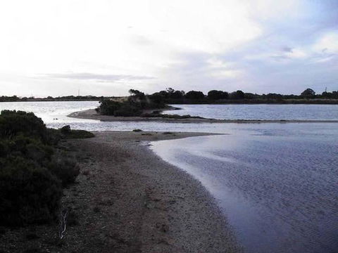 Absolute Waterfront - Holiday Sunshine Coast 1
