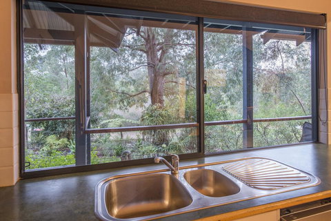 Abundance - Holiday Sunshine Coast 3