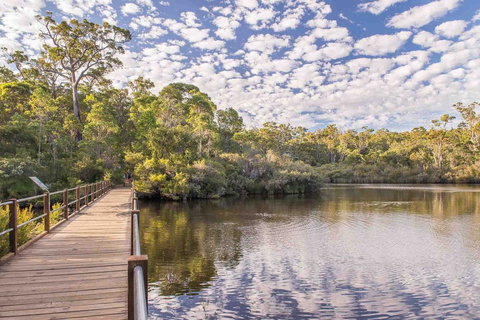 Abundance - Holiday Sunshine Coast 0