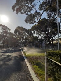Book Norseman Accommodation Vacations Sunshine Coast Tourism Sunshine Coast Tourism