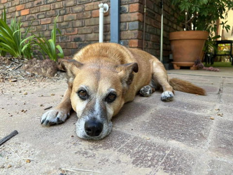 Diamond Lake Escape - Sunshine Coast Tourism 1