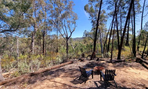 Echidna Ridge By Tiny Away - Sunshine Coast Tourism 1