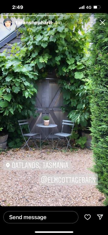 Elm Cottage Barn - Holiday Sunshine Coast 4