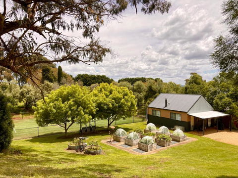 Elevation652 At Mt Bellevue In King Valley - Sunshine Coast Tourism 1