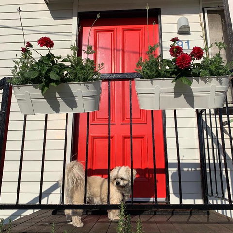 Family And Pet Friendly Home In Brisbane - Holiday Sunshine Coast 0