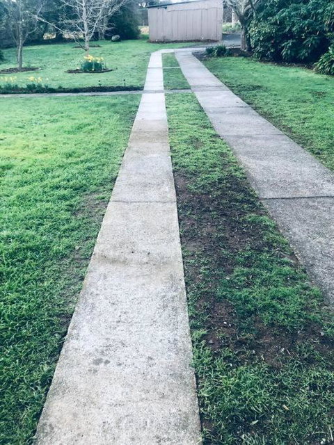 Farmhouse On The Cradle Coast Forth - Holiday Sunshine Coast 4