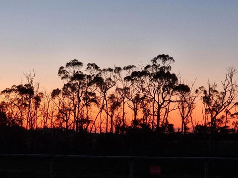 Farmstay@Morgans - Holiday Sunshine Coast 0