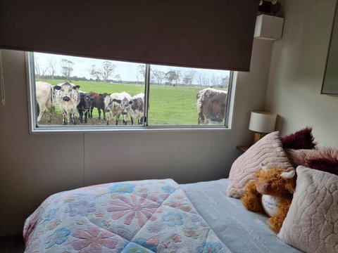 Farmstay@Morgans - Holiday Sunshine Coast 3