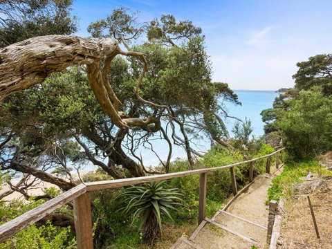 Fishermans Beach Cliff Top - Holiday Sunshine Coast 3