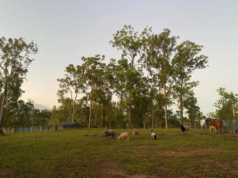 Gemmas Animal Farm By Tiny Away - Sunshine Coast Tourism 1