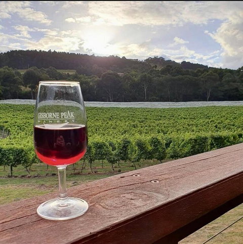 Gisborne Peak Winery Short Term Stays - Holiday Sunshine Coast 3