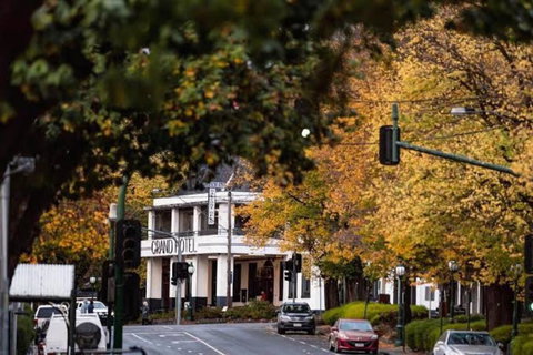 Gloria Of Healesville - Holiday Sunshine Coast 3