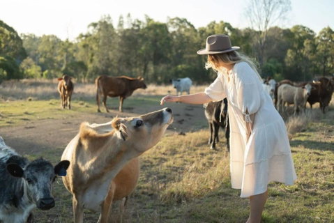 Golden Hill Farmstay By Tiny Away - Sunshine Coast Tourism 4