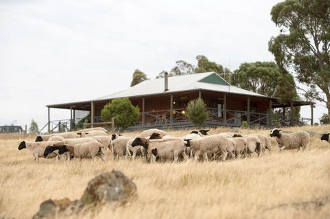 Gilgraves Vineyard Farmstay - Holiday Sunshine Coast 0