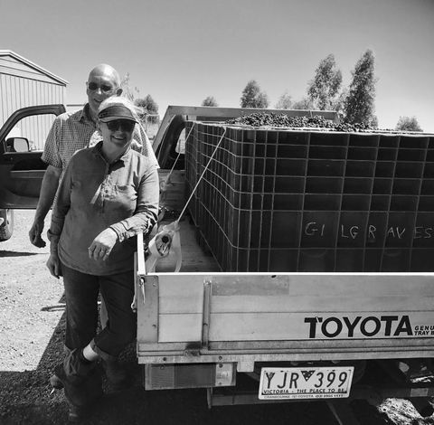 Gilgraves Vineyard Farmstay - Holiday Sunshine Coast 4