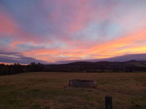 Handsome Hills Dairy Retreat - Sunshine Coast Tourism 1