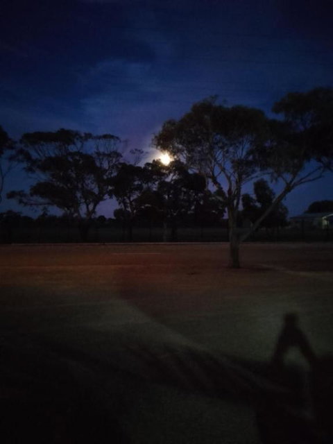 Hawker Holiday Cabins - Holiday Sunshine Coast 3