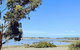 Hilltop Riverview Retreat - thumb 0