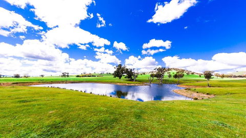 Hillview Farmstay - Sunshine Coast Tourism 0