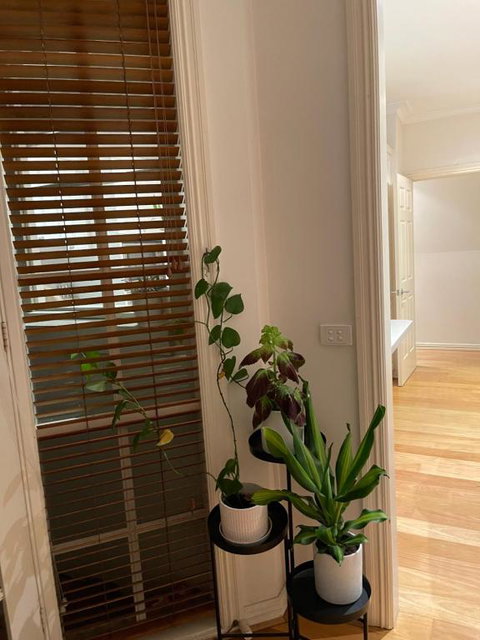 Hunter House - Sunshine Coast Tourism 0