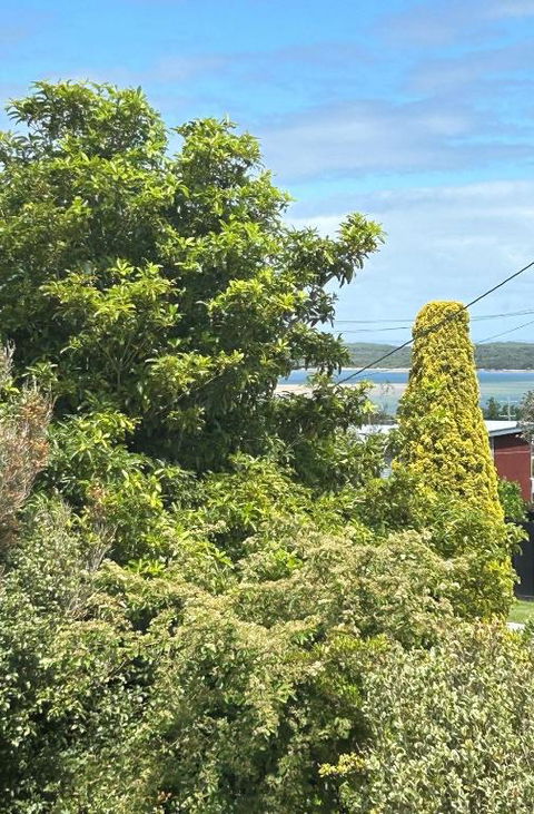 Iconic Beach House On Bruce - Sunshine Coast Tourism 1