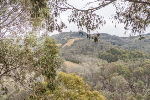 Inala 8 - Thredbo - Sunshine Coast Tourism 1