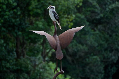 Afterglow Cottages - Sunshine Coast Tourism 2