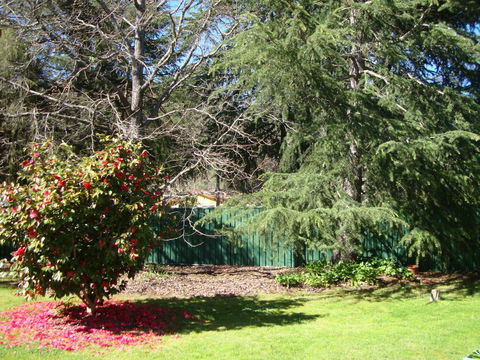 Ageri Holiday House - Holiday Sunshine Coast 1