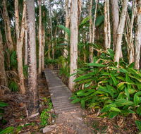 Agnes Palms Accommodation - Holiday Sunshine Coast
