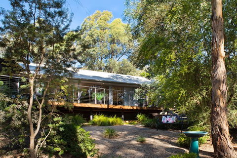Ahimsa Hepburn - Holiday Sunshine Coast 3