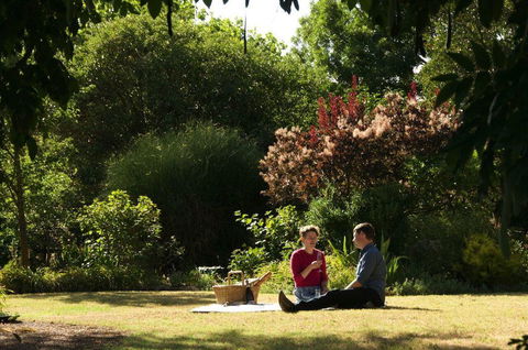 Alexandra Farmstay - Holiday Sunshine Coast 0