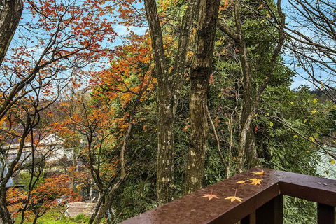 Allambee - Holiday Sunshine Coast 2